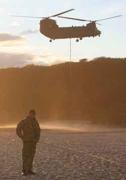 Chinook over Shorthorn